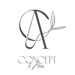 Concept d'anaï logo